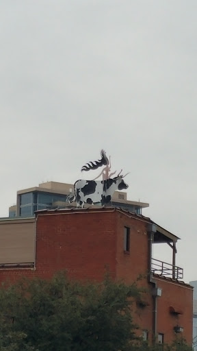 Roof Cow - Dallas, TX.jpg