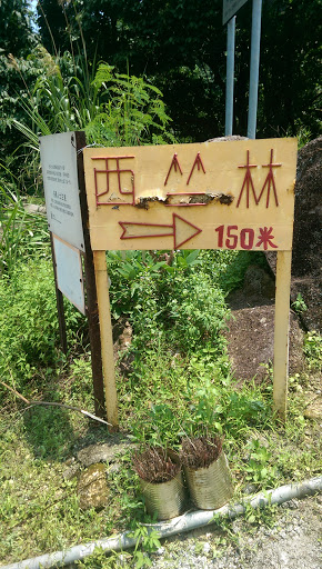 Ä¸è±å±±(è¥¿ç«ºæ) æç¤ºç - Hong Kong, Hong Kong.jpg