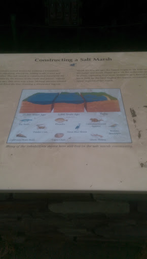 Lagoon Salt Matsh Info - Carlsbad, CA.jpg