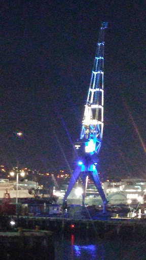 The Cranes - Wellington, Wellington.jpg