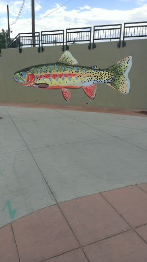 Trout Wall near Goose Creek Path - Boulder, CO.jpg