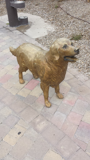 Brass Dog Statue - Lincoln, NE.jpg