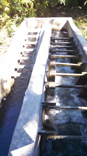 Rising Sun Fish Ladder - Providence, RI.jpg