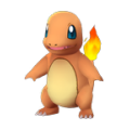 Charmander nest.png