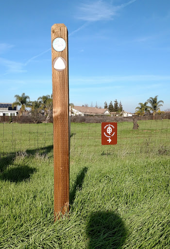 Delta de Anza Regional Trail - Neroly (E) - Oakley, CA.jpg