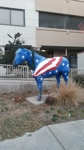 America's Horse - Amarillo, TX.jpg