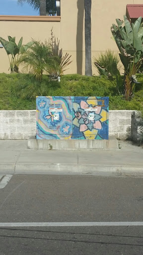 Flower Box - Vista, CA.jpg