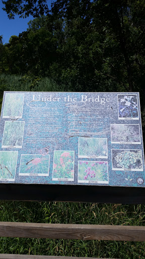 Under the Bridge - Elgin, IL.jpg