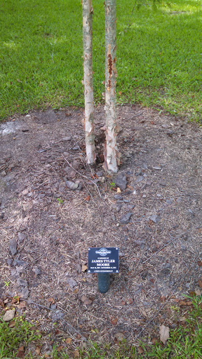 James Tyler Moore Remembrance Tree - Tallahassee, FL.jpg