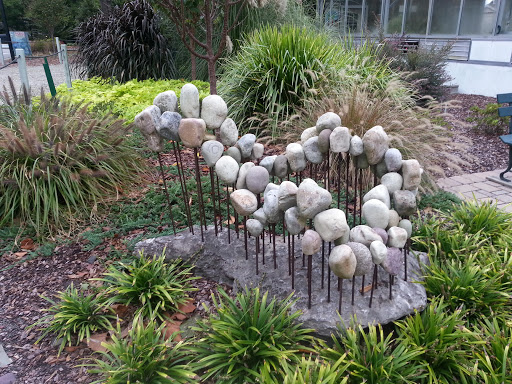 File:Rock Sculpture at New Hanover County Arboretum - Wilmington, NC.jpg