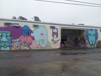 Kerr Ave Mural - Wilmington, NC.jpg