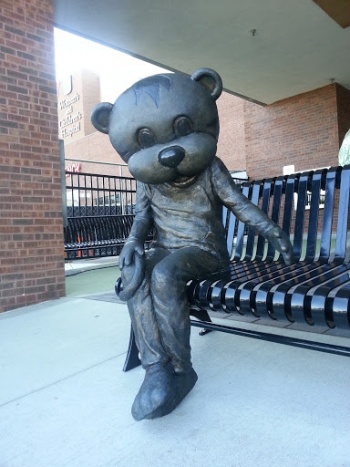 TJ the Tiger - Columbia, MO.jpg