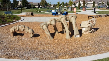 Storybook Woods Park - Elk Grove, CA.jpg