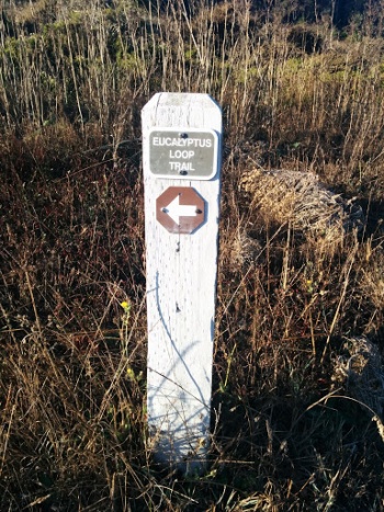 Eucalyptus Loop Trail Marker - Brisbane, CA.jpg