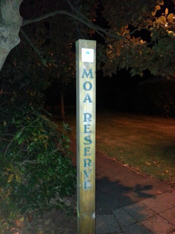 Moa Reserve South - Christchurch, Canterbury.jpg
