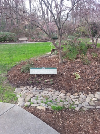 Winter Garden Collection - Greensboro, NC.jpg