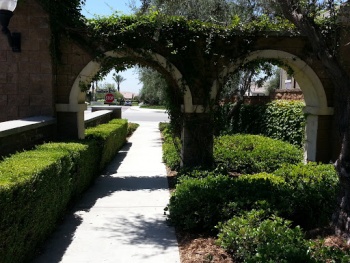 Shady Trail Arches - Fontana, CA.jpg
