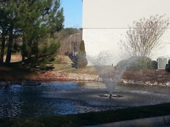 Solitude Lake Fountain - Virginia Beach, VA.jpg