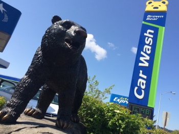 Kent Brown Bear - Kent, WA.jpg