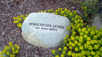 Streetscape Design Stone - Aurora, CO.jpg