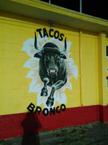 Toro Bronco Mural - El Paso, TX.jpg