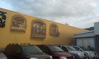 Balcony Mural - Winnipeg, MB.jpg