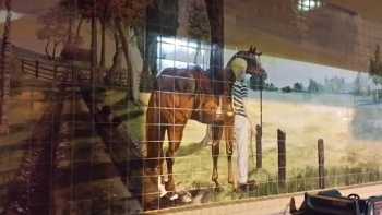 Equestrian Mural - Wall Tile A - Cooper City, FL.jpg