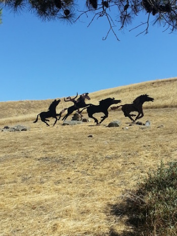 Wild Horse Sculpture - Antioch, CA.jpg
