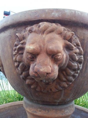 The Mighty Lion - Fairfield, CA.jpg