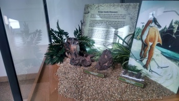 Orange County Dinosaur Display - Irvine, CA.jpg