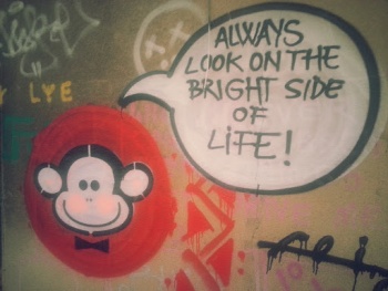 Positive Monkey - București, Municipiul București.jpg