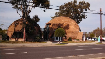 Flower Dome! - Long Beach, CA.jpg