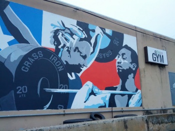 Grass Iron Gym Mural - Austin, TX.jpg
