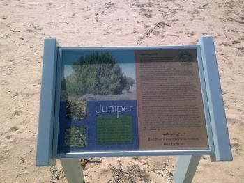 Juniper 2 PDWP - Lancaster, CA.jpg