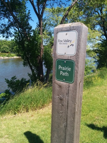 Fox Valley Prairie Path - Aurora, IL.jpg