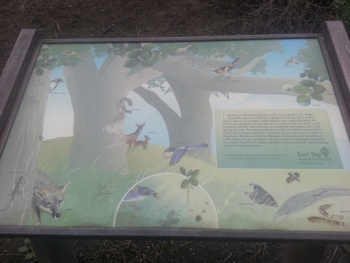Contra Loma Wild Life Info Board - Antioch, CA.jpg