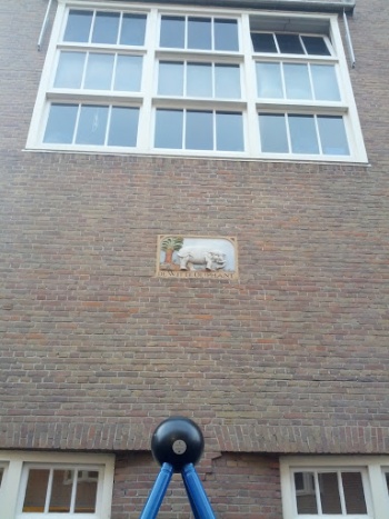 Mural De Witte Olifant - Amsterdam, NH.jpg