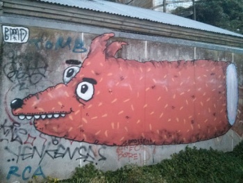 Sausage Dog - Wellington, Wellington.jpg