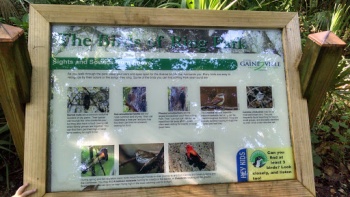 The Birds of Ring Park - Gainesville, FL.jpg