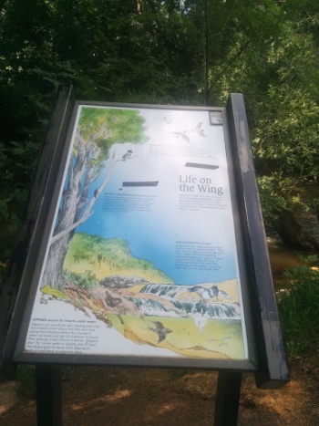 Boulder Bird Watching - Boulder, CO.jpg