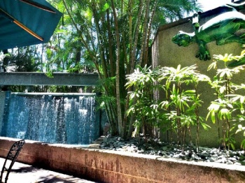 Pacific Guardian Waterfall - Honolulu, HI.jpg