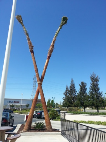 X Marks the Spot - Antioch, CA.jpg