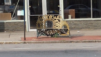 Big Flower Bench - Rochester, NY.jpg