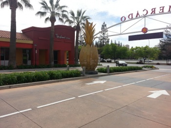 Golden Pineapple 2 - Santa Clara, CA.jpg