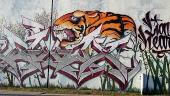 Art Graffiti Mural - San Antonio, TX.jpg