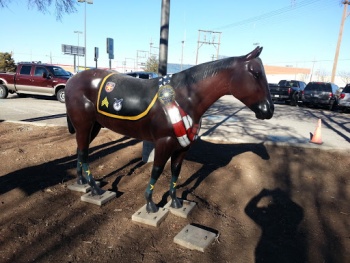 Amarillo P.D. Horse - Amarillo, TX.jpg