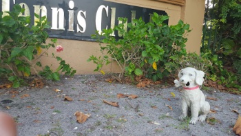 Tennis Club Doggy Park - Fort Lauderdale, FL.jpg