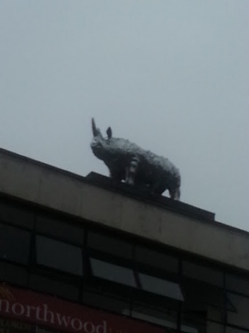 Glitter Rhino - Birmingham, England.jpg