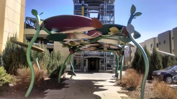 Lily Pad Lane - Lakewood, CO.jpg