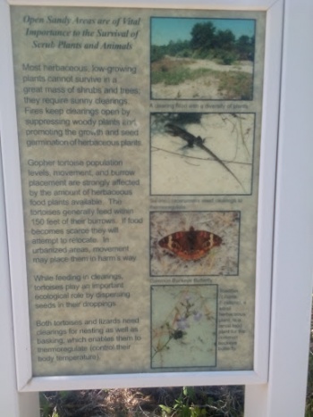 Florida Scrub Trail Sandy Area Sign - Pompano Beach, FL.jpg
